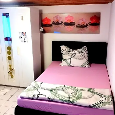 公寓 In Hessen Fuer Max. 3 Personen 弗里德伯格