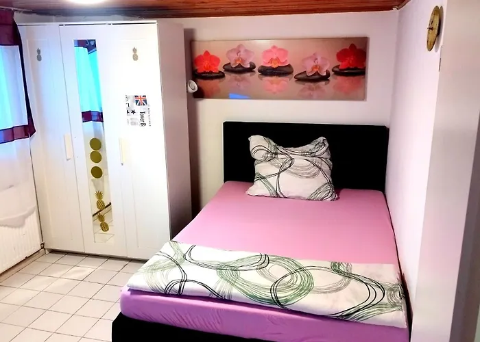 公寓 In Hessen Fuer Max. 3 Personen 弗里德伯格